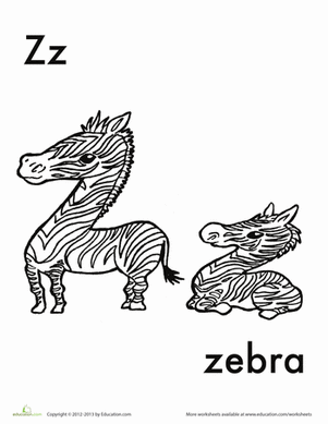 Z代表斑马