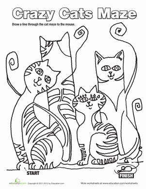 猫迷宫
