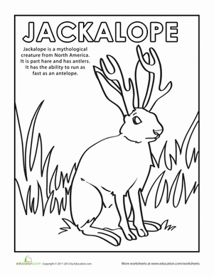 给Jackalope涂上颜色！
