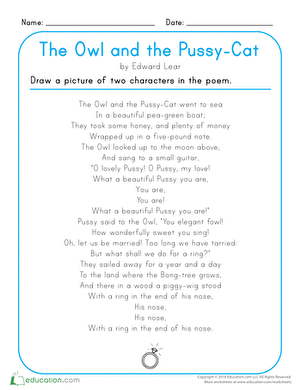 猫猫和宠物猫