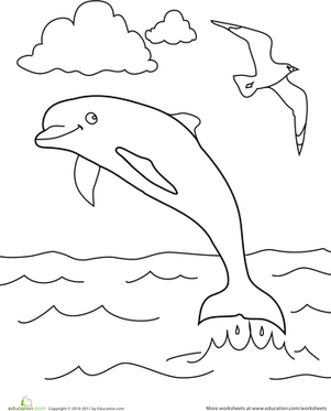 颜色颜色