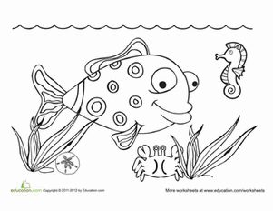 海洋生物彩页