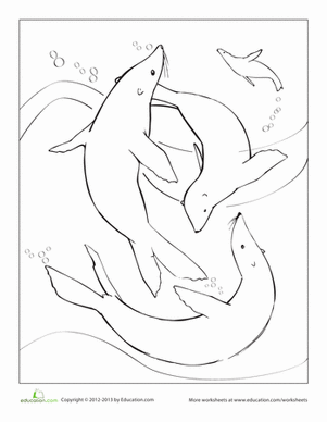 海狮着色页