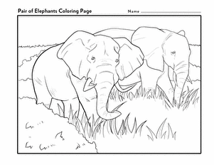成对的PairofElephantsColoringPage