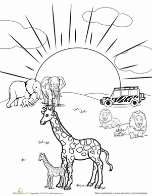 Safari着色页