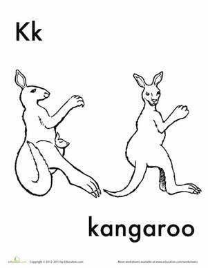 韩国袋鼠