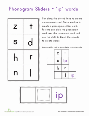 ip字族