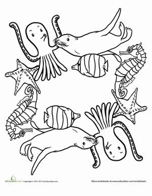 海洋生物曼陀罗