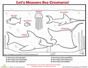 如何测量:海洋生物