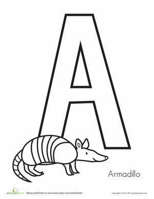 A代表犰狳