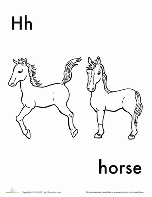 H代表马
