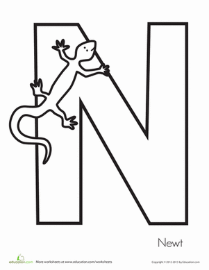 N代表牛顿