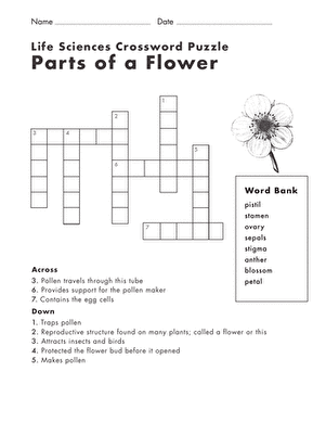 生命科学纵横字谜:花的一部分
