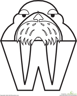 W代表海象