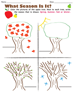 学习季节