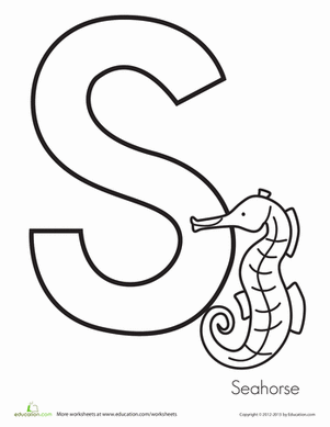S代表海马