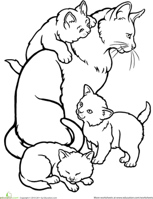 给猫和小猫上色