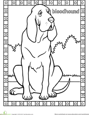猎犬着色页