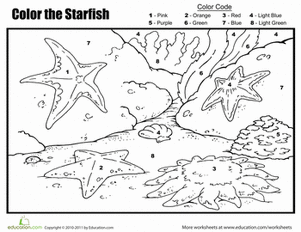 数字着色:海星