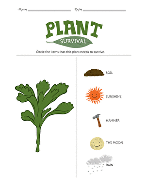 植物生存