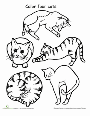 彩色猫
