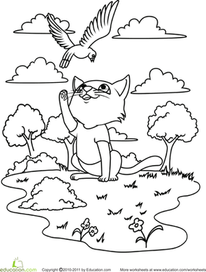 彩色播放小猫