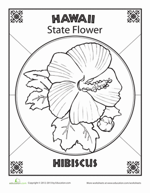 夏威夷州花